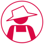 boer