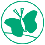 vlinder