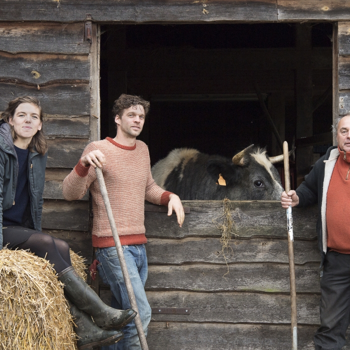 Boeren vark