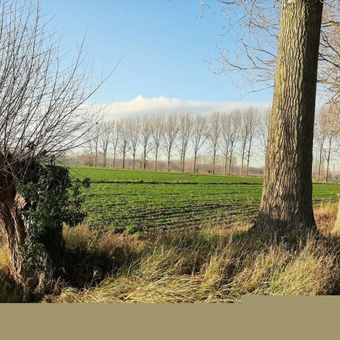 OCMW Gent Mendonk gezocht