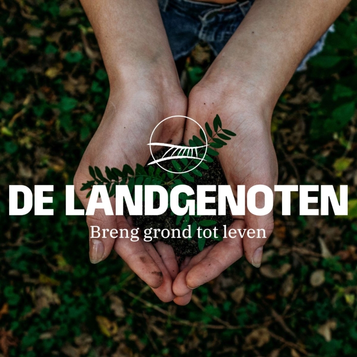 Beeld dlg